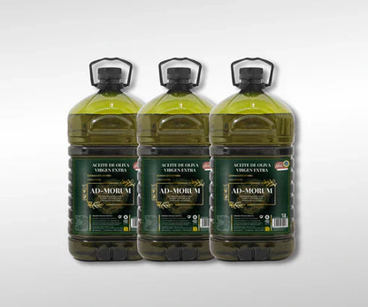 AOVE Picual 5L 2024/2025 Caja 3 garrafas