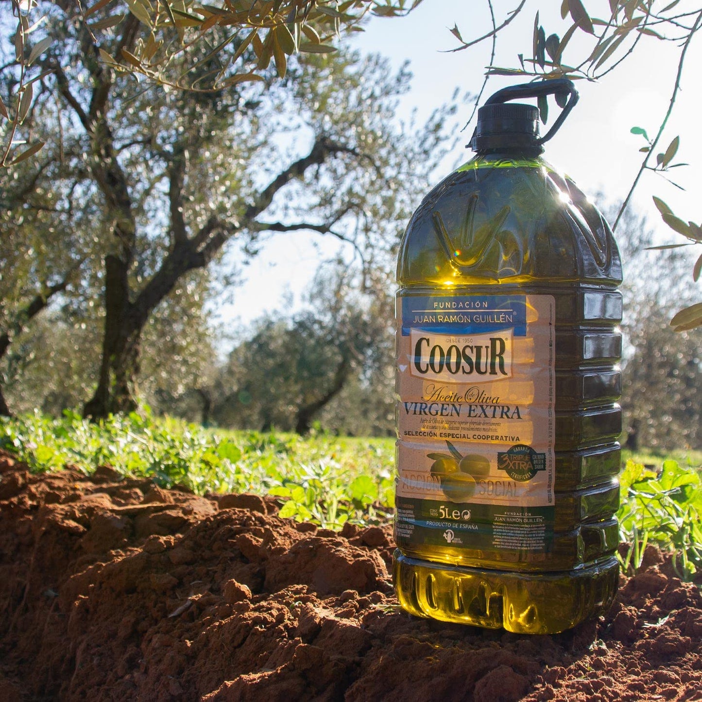 COOSUR Aceite de Oliva Virgen Extra Selección Cooperativa, 5L