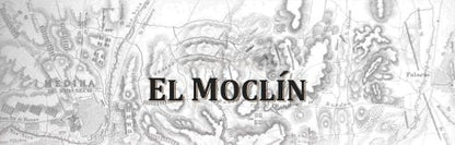 El Moclín Aceite De Oliva Virgen Extra En 5 Litro Caja Web, Sobre El Paladar Suave, Aterciopelado Que Nos Recuerda A Frutas Como El Plátano, Manzana Y Almendra., 5000 Mililitro